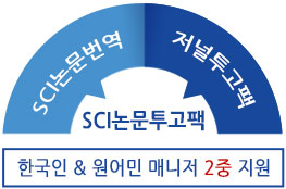 논문번역