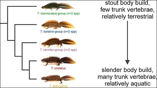 Default Title Text Default Alt text