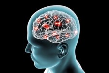 2014 年ノーベル生理学医学賞は脳の「場所細胞」の発見へ